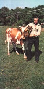 A Dairy Farmer's Right to Sell Raw Milk Image